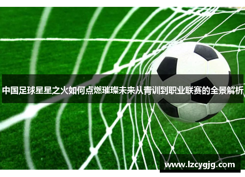 中国足球星星之火如何点燃璀璨未来从青训到职业联赛的全景解析